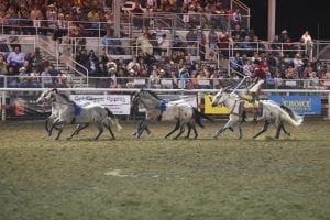 A stunt team rider performs at the Utah County Fair. Photo: Courtesy Utah County Faety of demonstrations and related educational activities. stunt riding