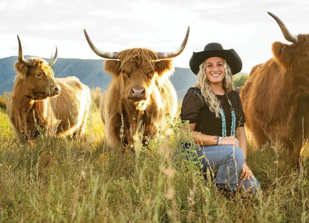 Highland cows