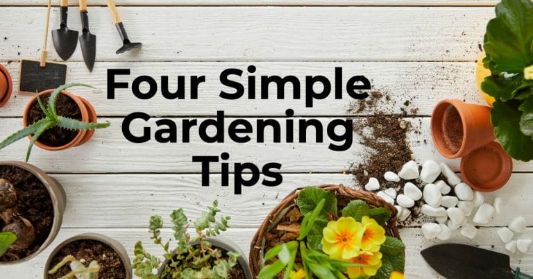 Four Simple Gardening Tips