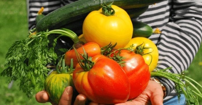 Tabithas Way Gifts from the Garden