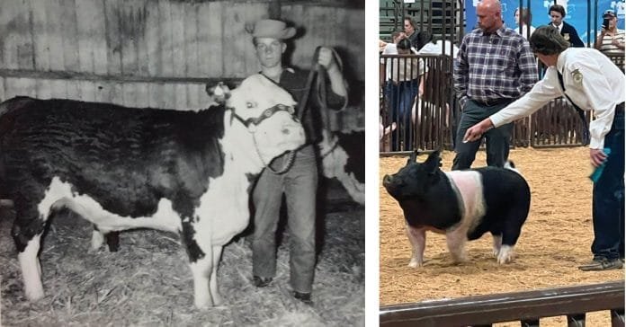 Left Side: Jimmy Caras of Benjamin, circa 1956. (Submitted by Darann Smith) Right Side: Bridger Smith of Payson showing his market hog at the Utah State Livestock Show May 2023. (Photo credit Mallory Worthington/Westworth Photography)