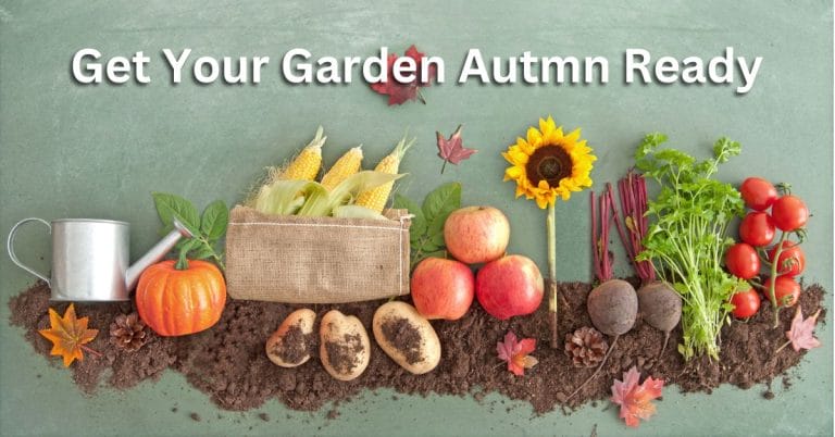 Getting Your Garden Autumn Ready