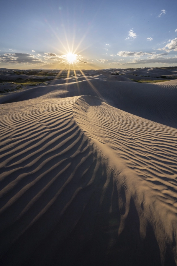 A geologic phenomenon, these breathtaking sand dunes inspire the spirit. With over 60,000 acres of dunes, there is a lot of room for loads of fun.