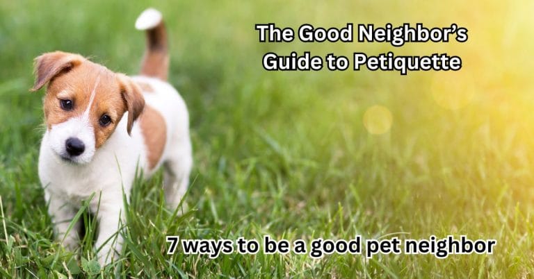 The Good Neighbor’s Guide to Petiquette