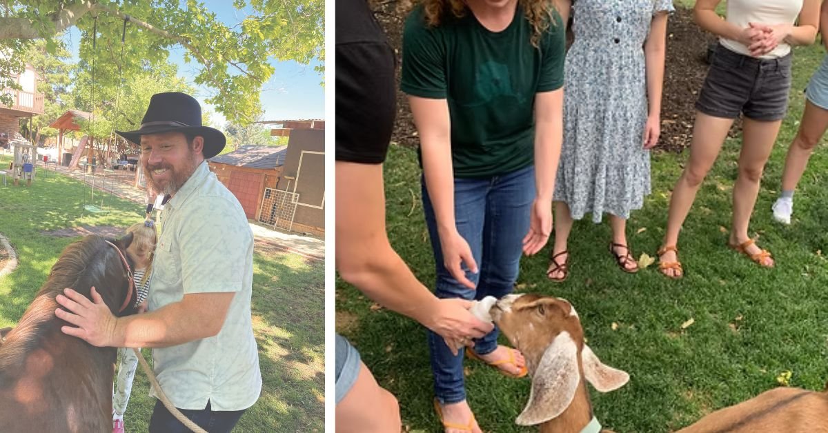 living with kids homestead springville goats