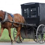 shellie peterson what the amish taught me about slowing down