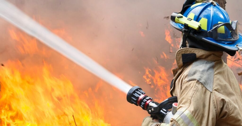 The Widemouth 2 Fire Raises a Larger Question for Utah widemouth 2 fire utah forest management rod hjelm