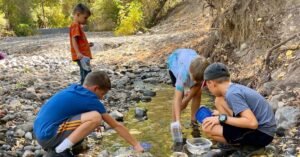 Serve Daily utah homeschool collaborative learning co op santaquin