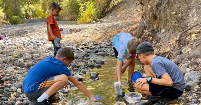 utah homeschool collaborative learning co op santaquin