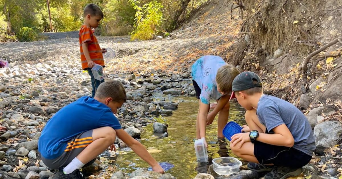 utah homeschool collaborative learning co op santaquin